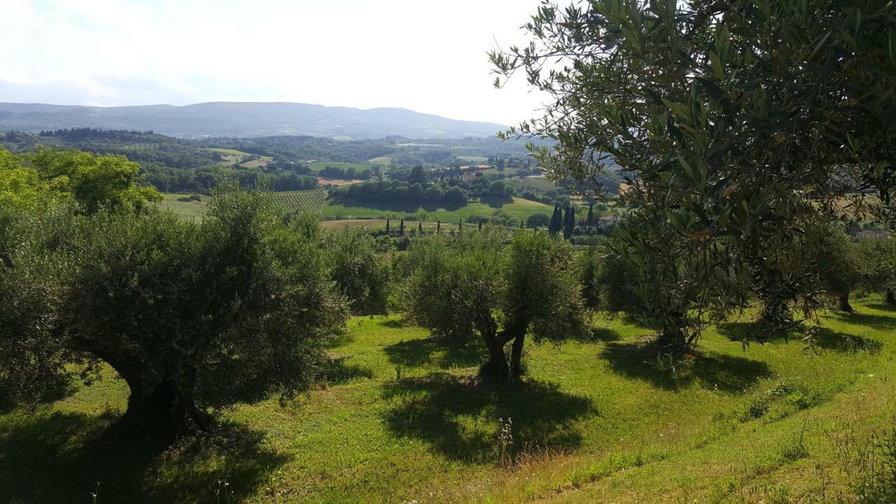 Montevenere 83 Vila Chiusi Exterior foto